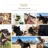 A collection of photos showing various dogs wearing studded leather collars and other dog accessories.