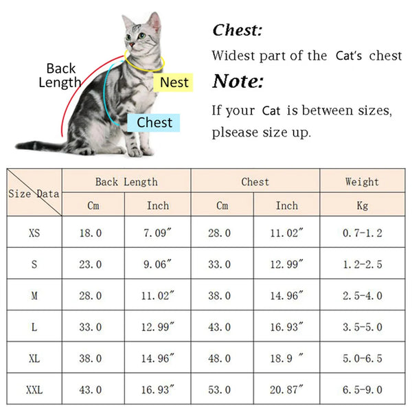 A cat is shown wearing a yellow vest, demonstrating the fit of a pet vest for cats.