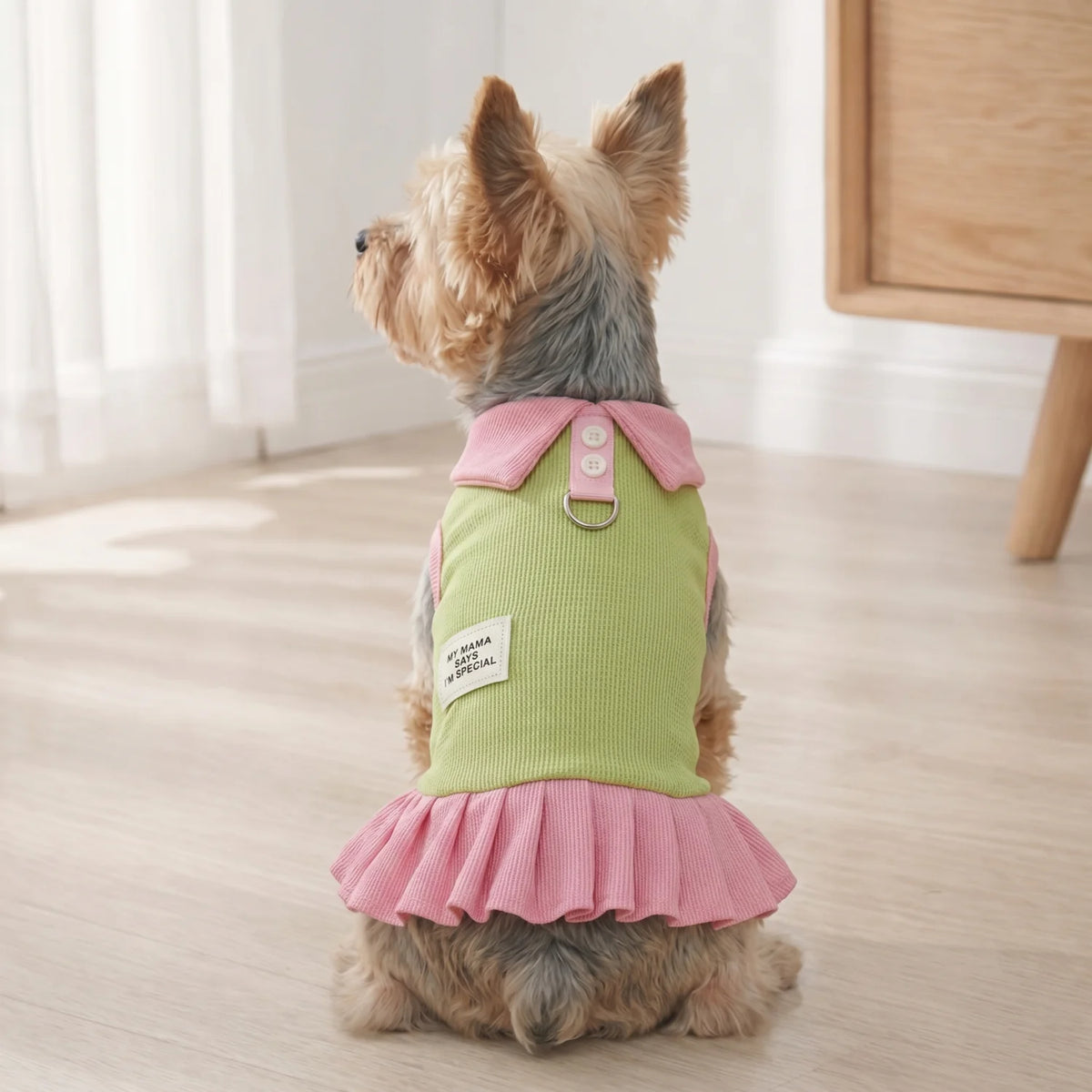 A small, light brown dog is wearing a pink and lime green cartoon dress with ruffled layers.