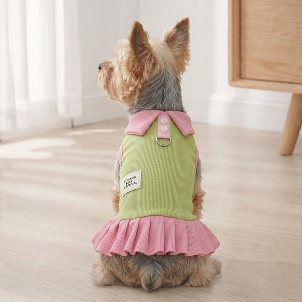 A small, light brown dog is wearing a pink and lime green cartoon dress with ruffled layers.