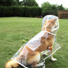 Goldener Hund in transparentem Regenschirm sitzt auf grünem Gras im Regen.