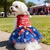 Ein weißer Hund trägt ein patriotisches rot-weiß-blaues Netzkleid mit Sternen und Streifen.