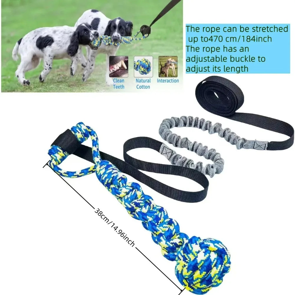 A bungee tug toy for dogs featuring an elastic rope with adjustable handles and a blue and yellow textured ball.