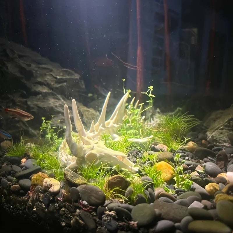A white articulated dragon skeleton decoration is displayed among green aquatic plants and dark stones in an aquarium.