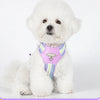 A white poodle wearing a pink and purple dog harness with reflective straps.