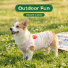 A fluffy Shiba Inu wearing a light yellow and white striped dress with strawberry embroidery outdoors.