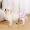 A fluffy white dog wearing a colorful reusable female dog diaper.