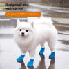 A white fluffy dog is standing on a wet surface wearing bright blue waterproof anti-slip boots.