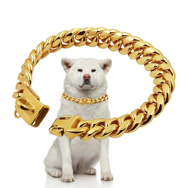 A gold-colored stainless steel dog choker collar with a Cuban link design displayed around a white dog.