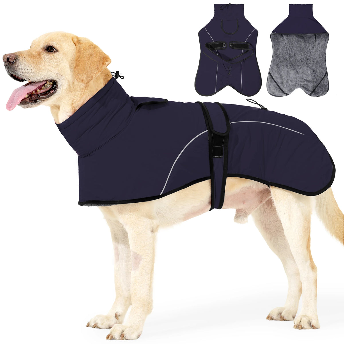 Ein Golden Retriever trägt eine dunkelblaue Fleece-Winterjacke mit grauer Futter und schwarzem Zierfaden.