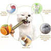 A white cat is shown interacting with a natural silver vine chew toy, surrounded by icons detailing benefits like soothing st