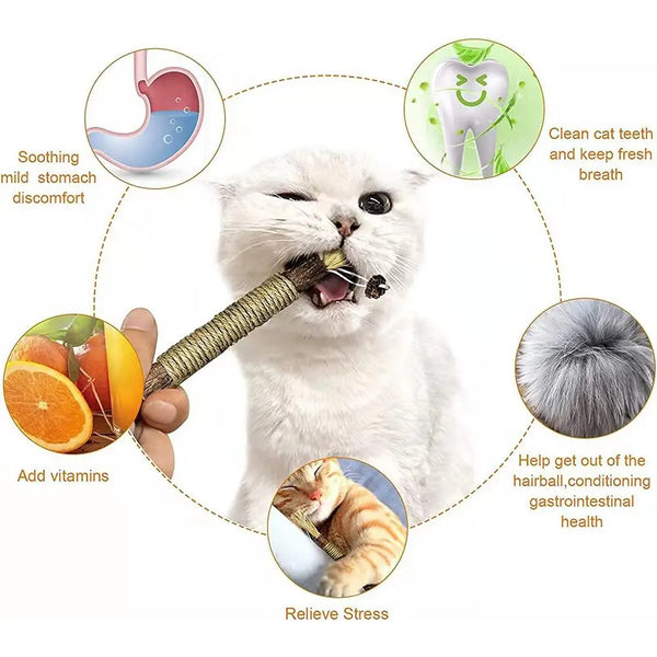 A white cat is shown interacting with a natural silver vine chew toy, surrounded by icons detailing benefits like soothing st