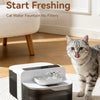 A grey tabby cat looks at a Rojeco pet water fountain placed on a white rug.