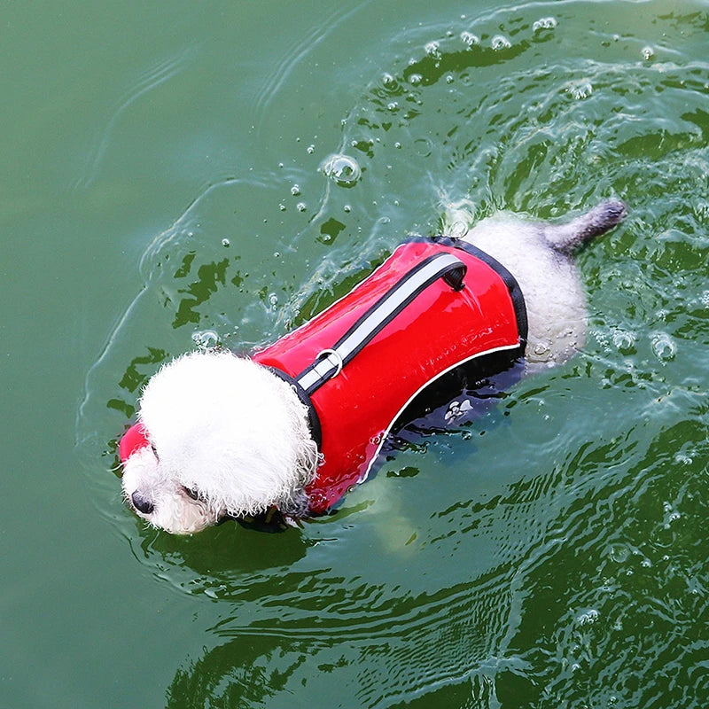 A white dog wearing a red life jacket is swimming in green water.