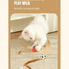 A white kitten plays with a low rolling sound play wild elastic ball and feathers on a rug.