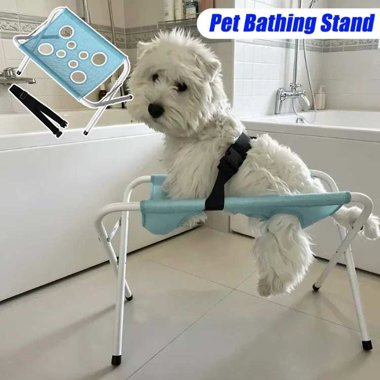 A white dog is resting on a light blue pet bathing stand for grooming.