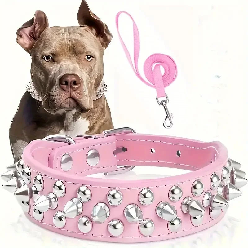 A pink leather dog collar and leash set with silver studs and a pink leash, shown next to a dog.