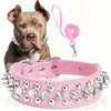 A pink leather dog collar and leash set with silver studs and a pink leash, shown next to a dog.