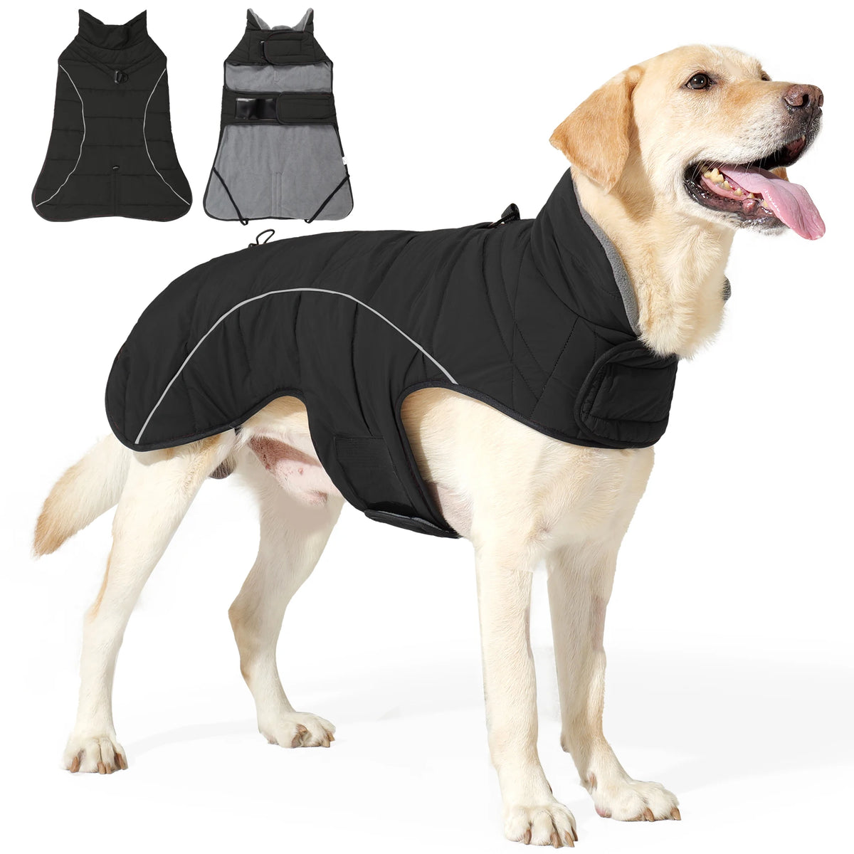 A tan dog wearing a black waterproof reflective winter coat, shown alongside different styles of the coat.