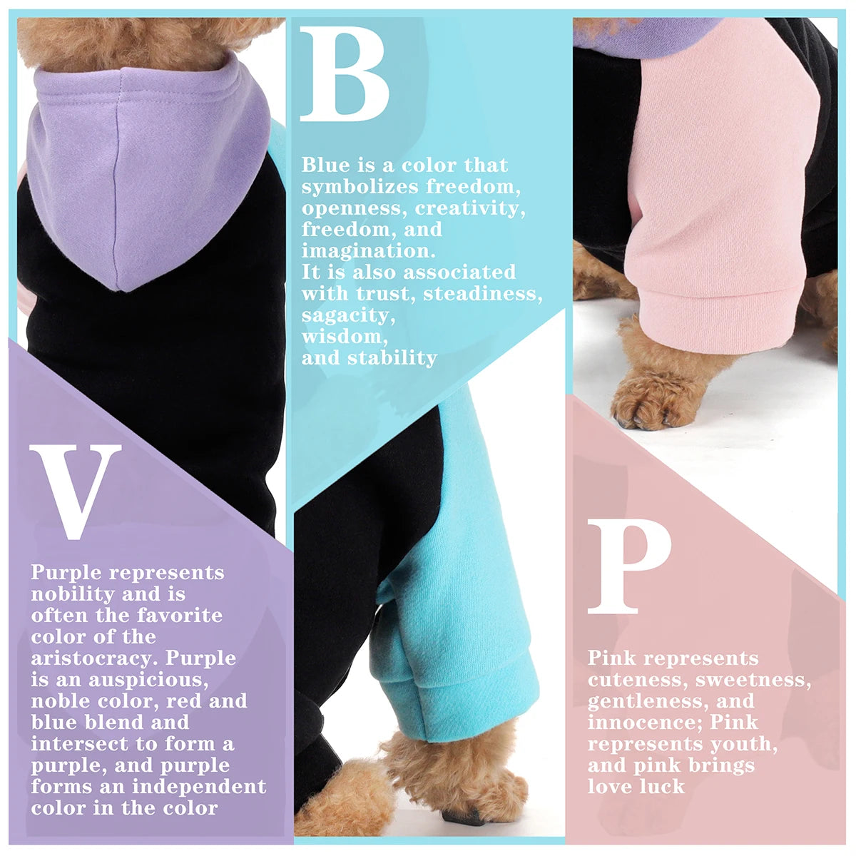 Color palette guide showing purple, blue, pink, and black dog hoodies with their symbolic meanings.