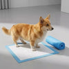 An orange and white dog stands on a blue training pad with a rolled blue towel nearby.