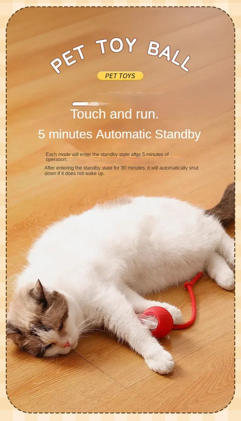 A white and gray cat is interacting with a red ball toy designed for automatic standby.