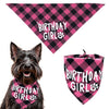 Bandana à carreaux rose et noir pour fête de chien et étiquette assortie.