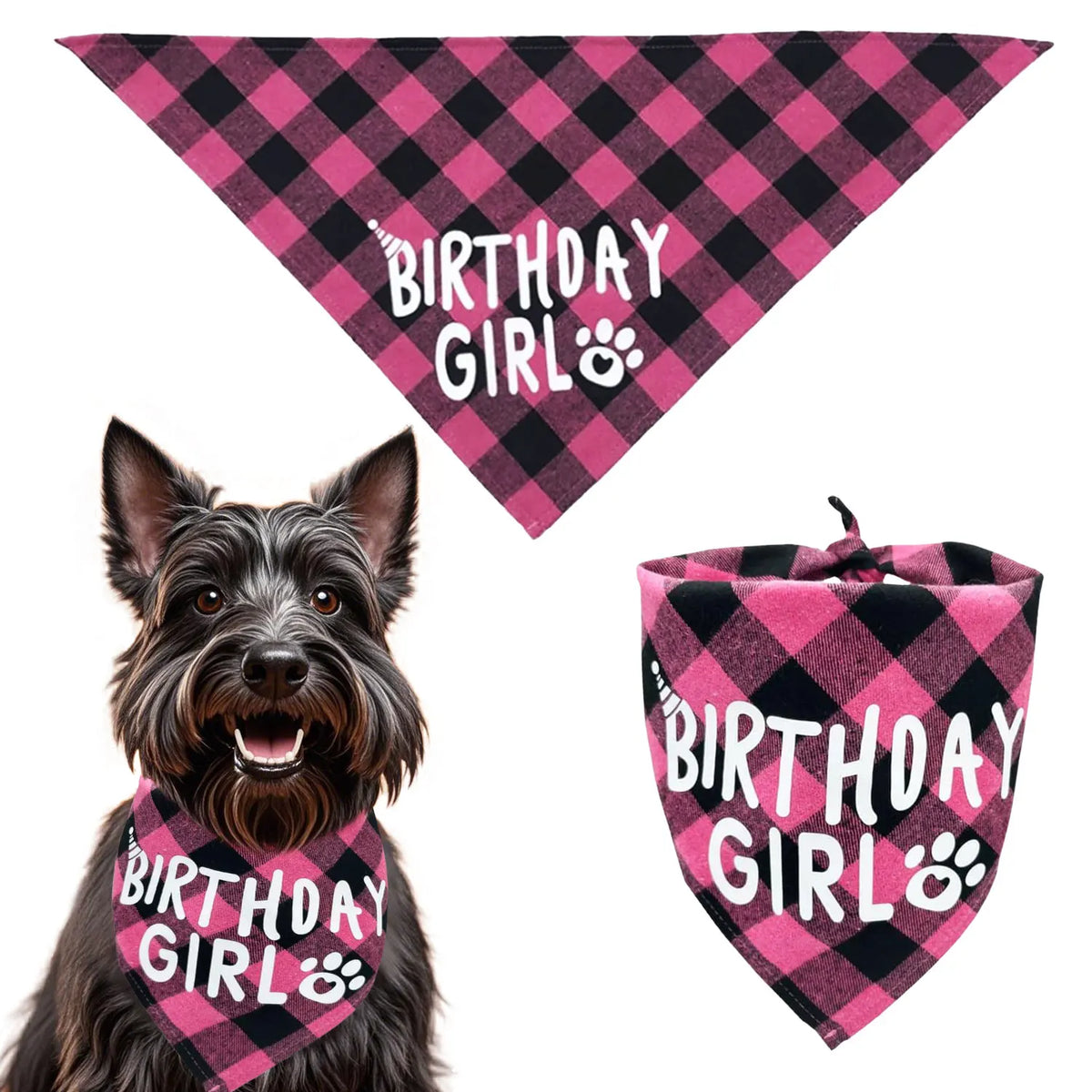 Bandana à carreaux rose et noir pour fête de chien et étiquette assortie.