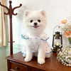 A fluffy white dog wearing a breathable summer pet dress with a leash ring sitting on a wooden cabinet.