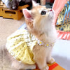 Un chaton duveteux crème et orange portant une robe à couronne florale jaune.