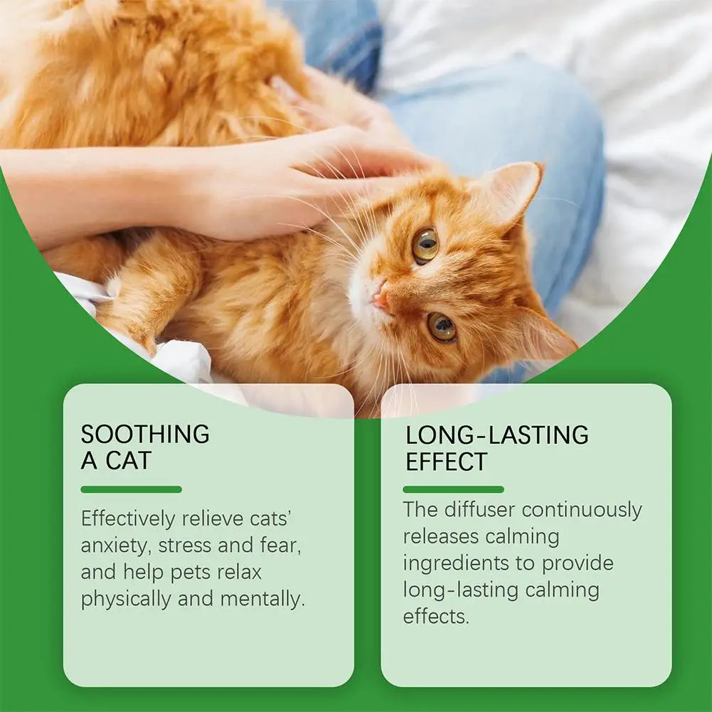 A fluffy orange cat is being gently stroked by a human hand, set against a green background with text about soothing a cat.