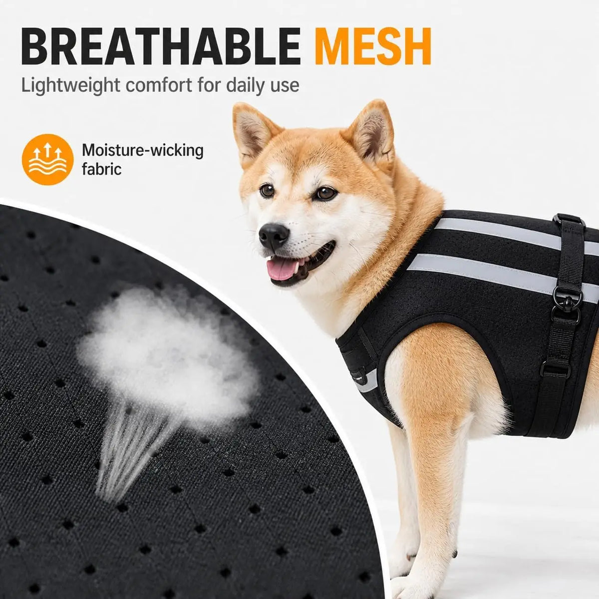 A light brown dog wearing a black harness is shown next to a mesh fabric detail.