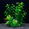 Plantes décoratives aquatiques artificielles avec feuillage vert et petits poissons sur fond sombre