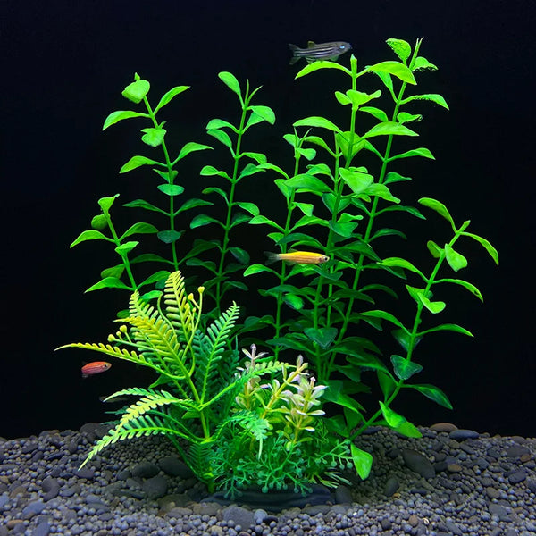 Plantes décoratives aquatiques artificielles avec feuillage vert et petits poissons sur fond sombre