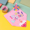 Pinkes Bandana mit Partyhut aus Pailletten und bunten Pompons für eine Geburtstagsfeier