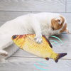 A white cat is interacting with an electric floppy fish toy, which emits sound waves.