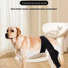 A golden retriever wearing a black pet joint protection cover is standing indoors.