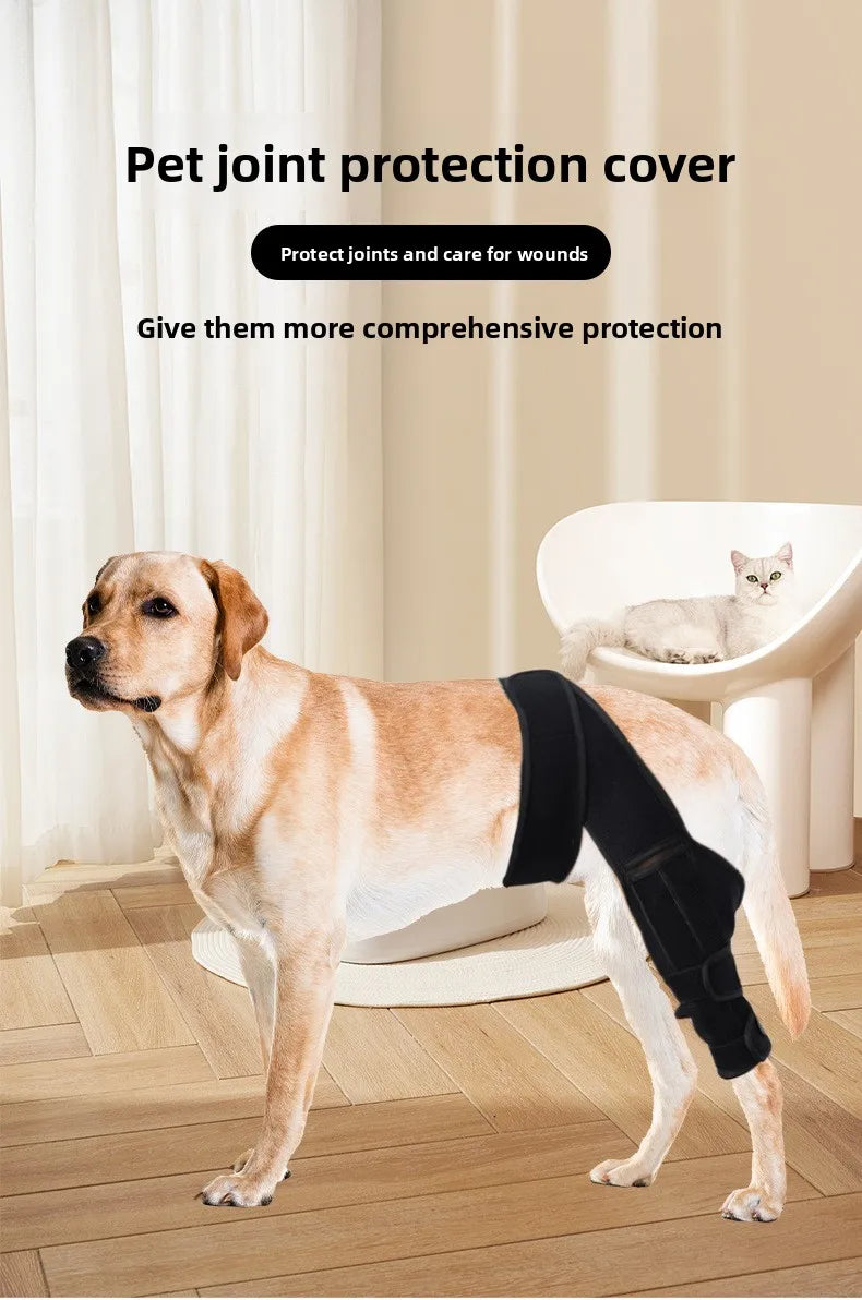 A golden retriever wearing a black pet joint protection cover is standing indoors.