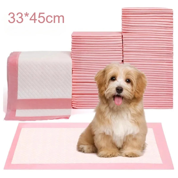 A golden doodle dog is sitting on a pink absorbent pet pad with stacked pink pads in the background.