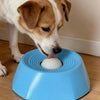 A dog is interacting with a blue slow feeder bowl designed for pet food.