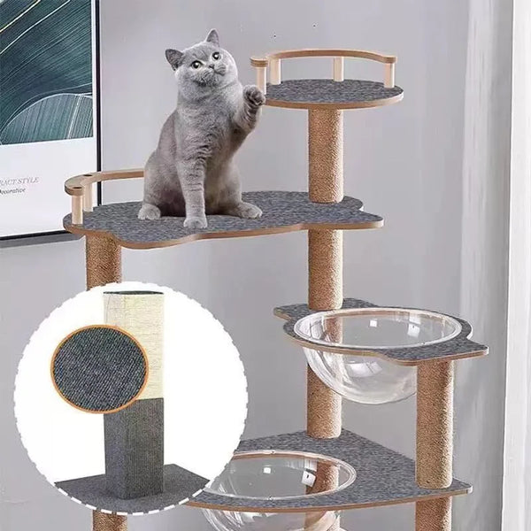 A gray cat is sitting on a multi-tiered wooden and felt cat scratcher pad organizer with glass bowls.