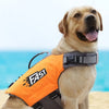 A golden retriever wearing an orange high visibility dog life jacket outdoors.