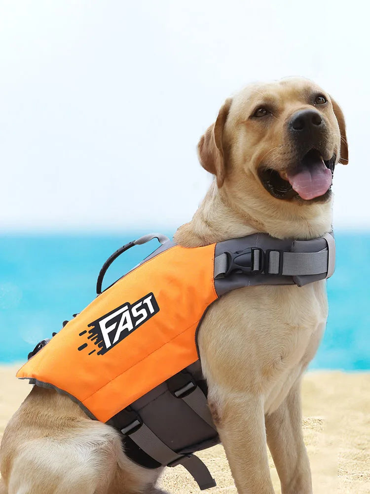 A golden retriever wearing an orange high visibility dog life jacket outdoors.
