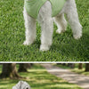 A light green cooling dog vest with a built-in fan is worn by a small dog outdoors on grass.