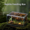 Boîte à nourriture et substrat en verre transparent avec couvercle pour reptiles.