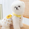 Un perro blanco esponjoso vistiendo un vestido de malla amarillo con pequeñas flores amarillas.