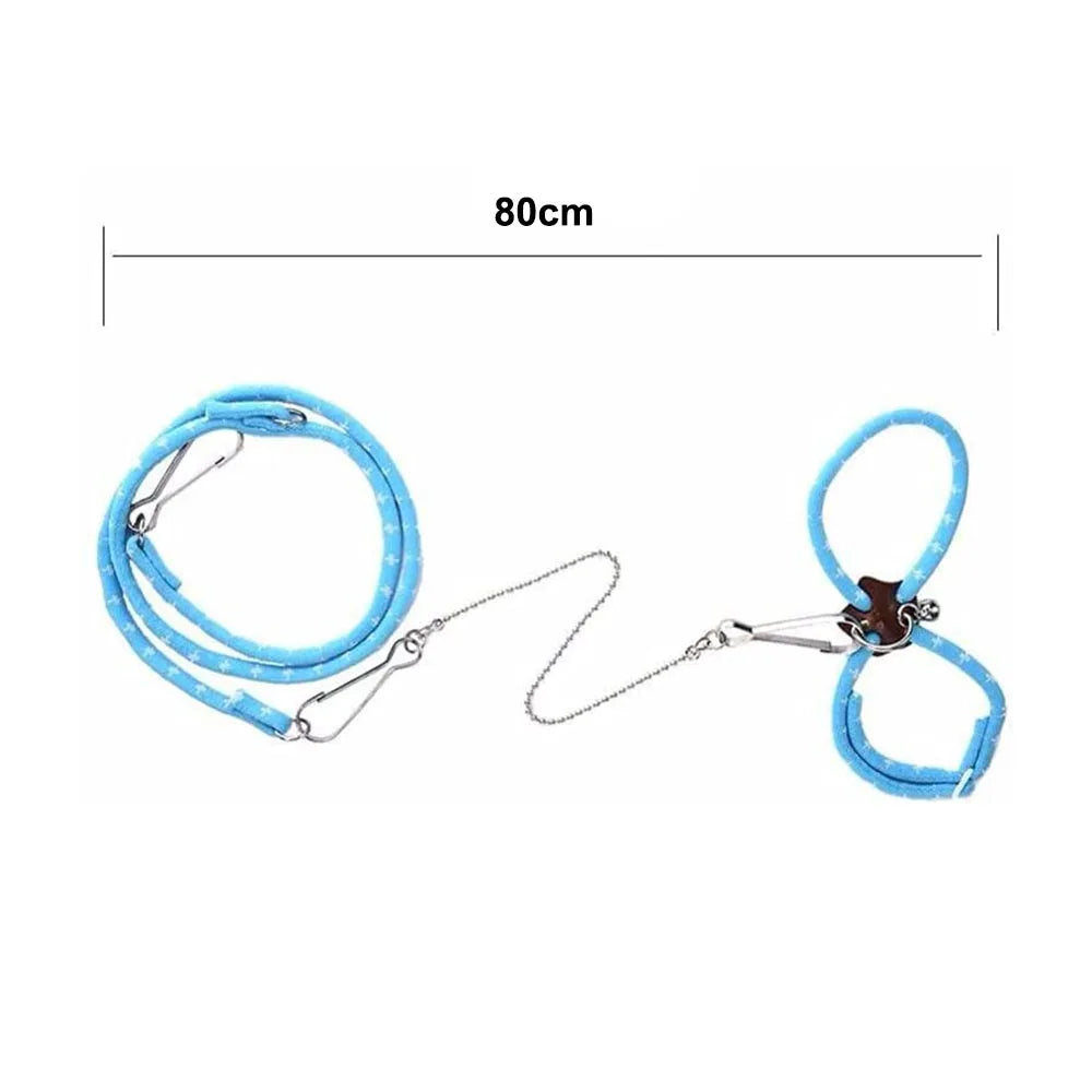 Arnés y correa azul ajustable para mascotas pequeñas, mostrado plano.