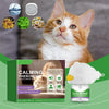 A fluffy orange and white cat sits next to a diffuser kit for calming pheromone relief.