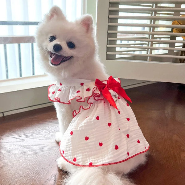 A fluffy white dog is wearing a lightweight cotton dress with a red heart print.