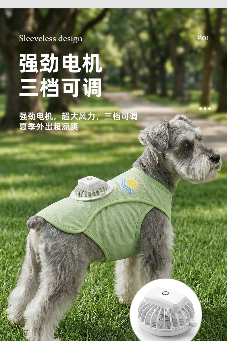 A gray dog wearing a light green cooling vest with a built-in fan, outdoors on grass.